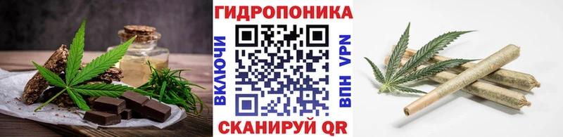 дарнет шоп  Барыш  Еда ТГК марихуана 