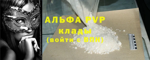 стаф Богданович