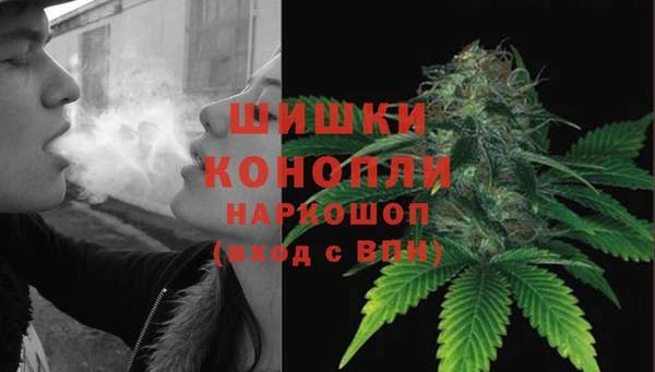 ECSTASY Белокуриха