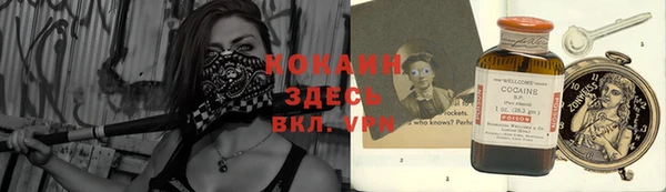 ECSTASY Белокуриха