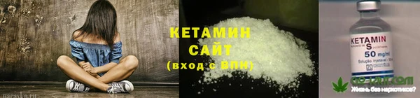 стаф Богданович