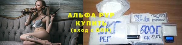 ECSTASY Белокуриха