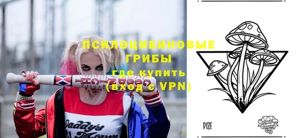 крисы Балахна