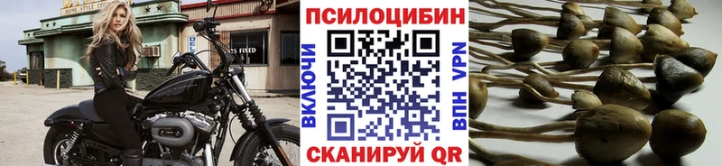 Галлюциногенные грибы MAGIC MUSHROOMS  omg как войти  Барыш 